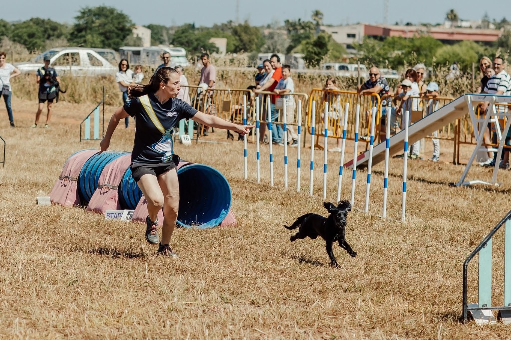 Entrenamiento en pista